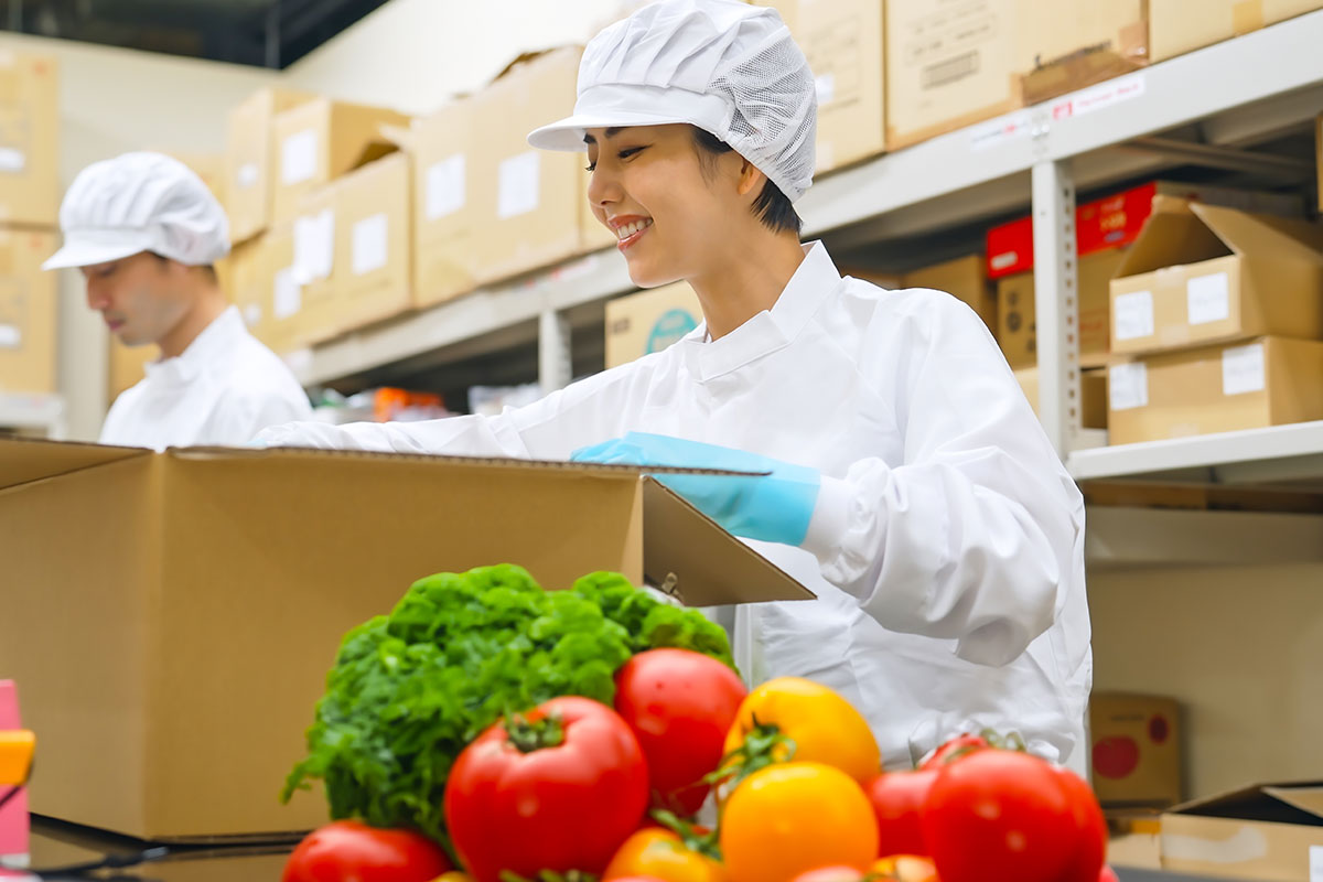 冷房完備での倉庫において野菜のピッキング・<br />折り畳みコンテナの組み立ての画像